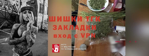 крисы Богородицк