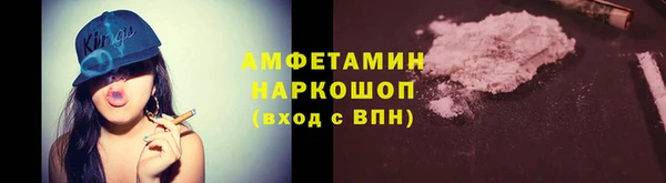крисы Богородицк