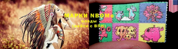 крисы Богородицк